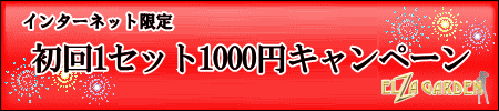 インターネット限定「初回1セット1000円キャンペーン」